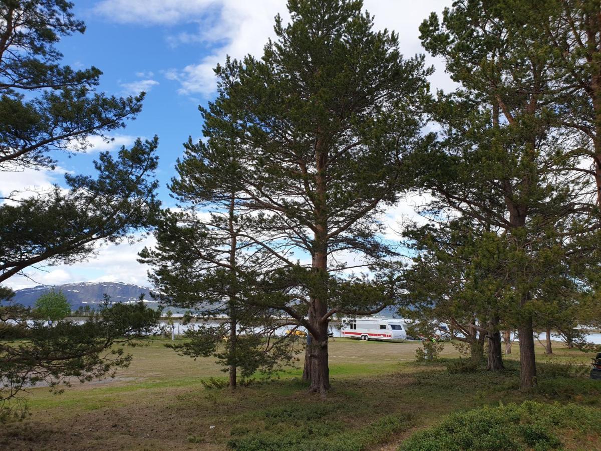 Solvang Camping Og Leirsted ألتا المظهر الخارجي الصورة